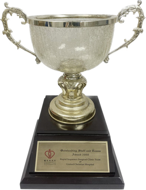 Rapid Sequence Surgical Clinic Team won the 2000 HA Outstanding Team Award