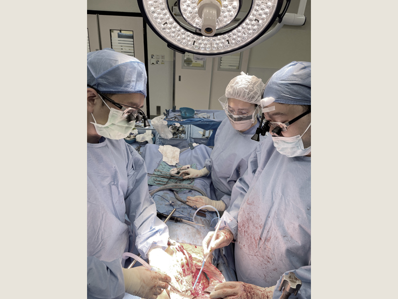 HBP Surgery