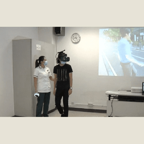 Immersive Virtual Reality (VR) Road Safety Program for Elderly with Dementia